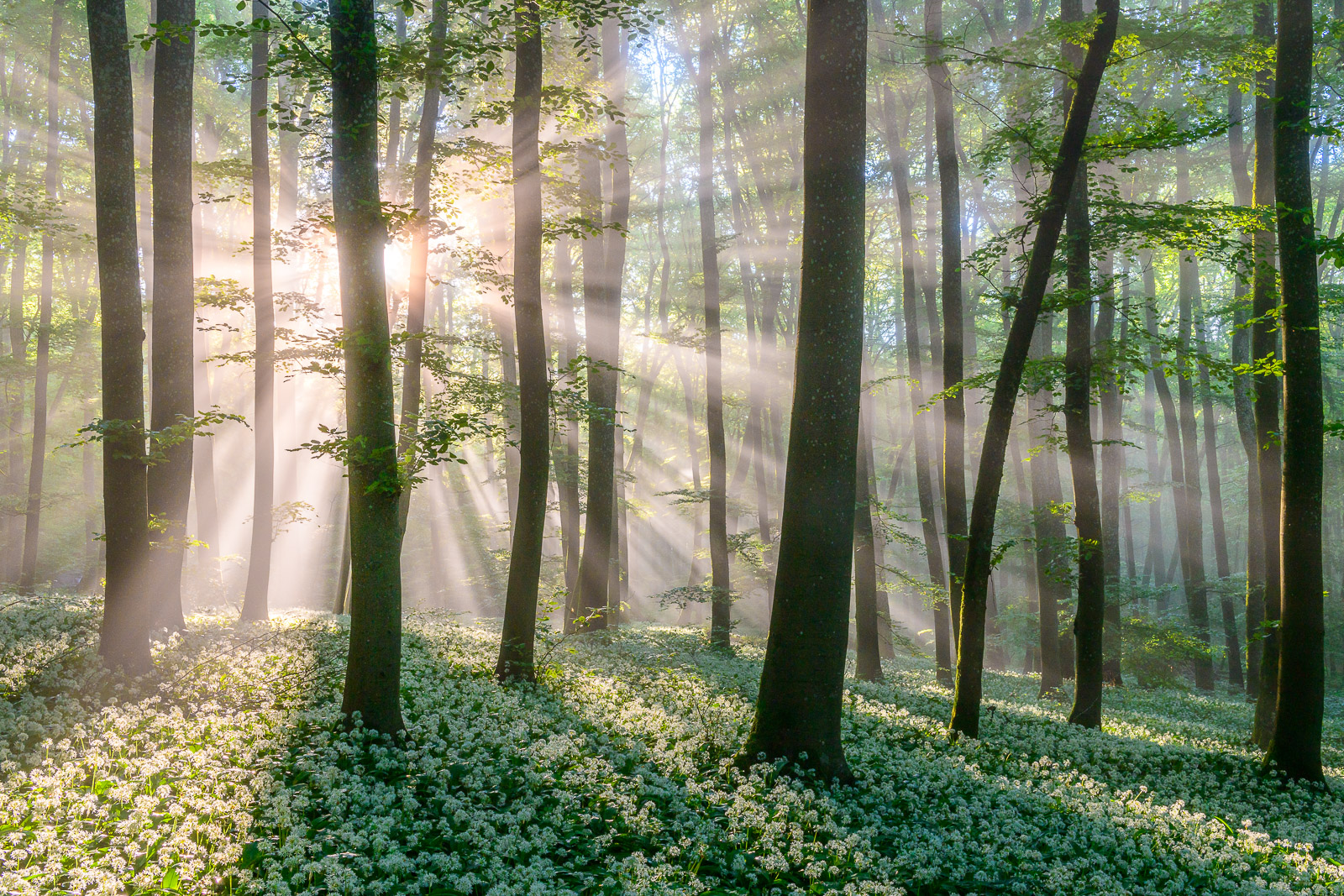 Ein magischer Moment