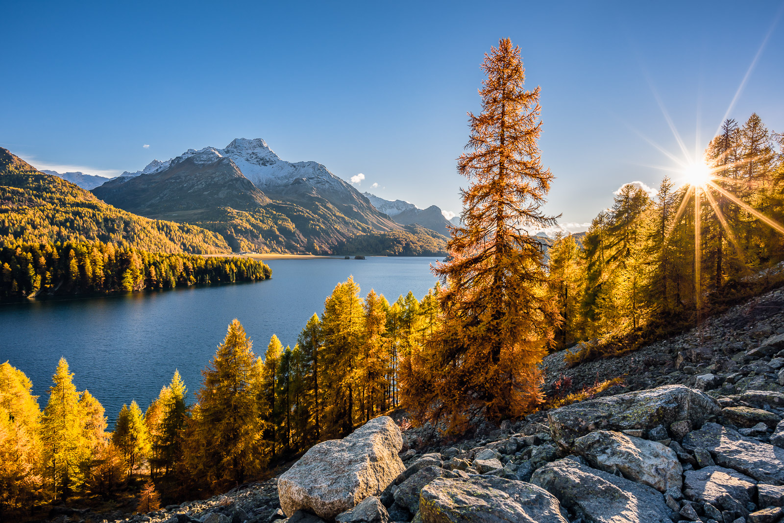 8113482 Bearbeitet Bearbeitet