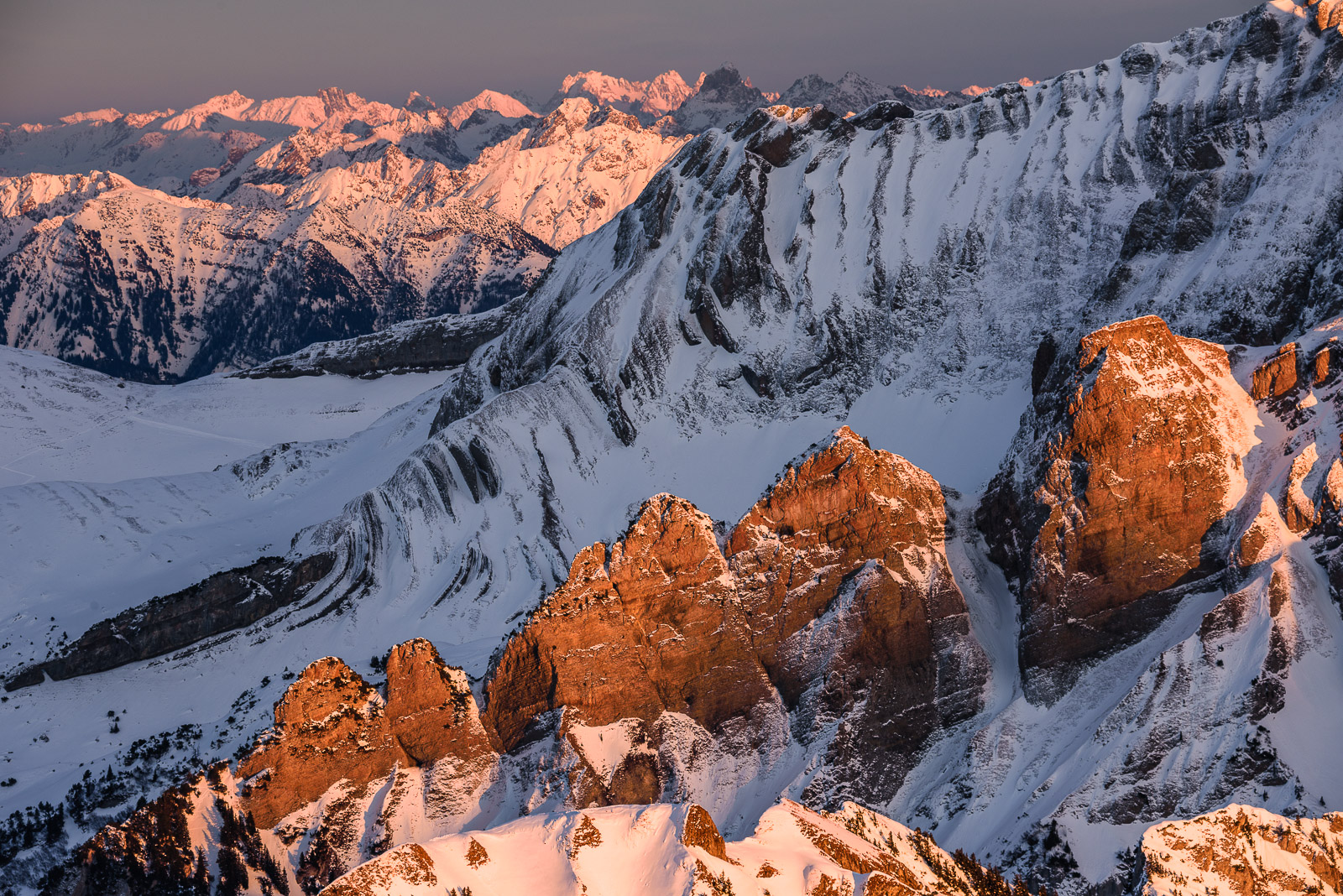  8111629 Bearbeitet web