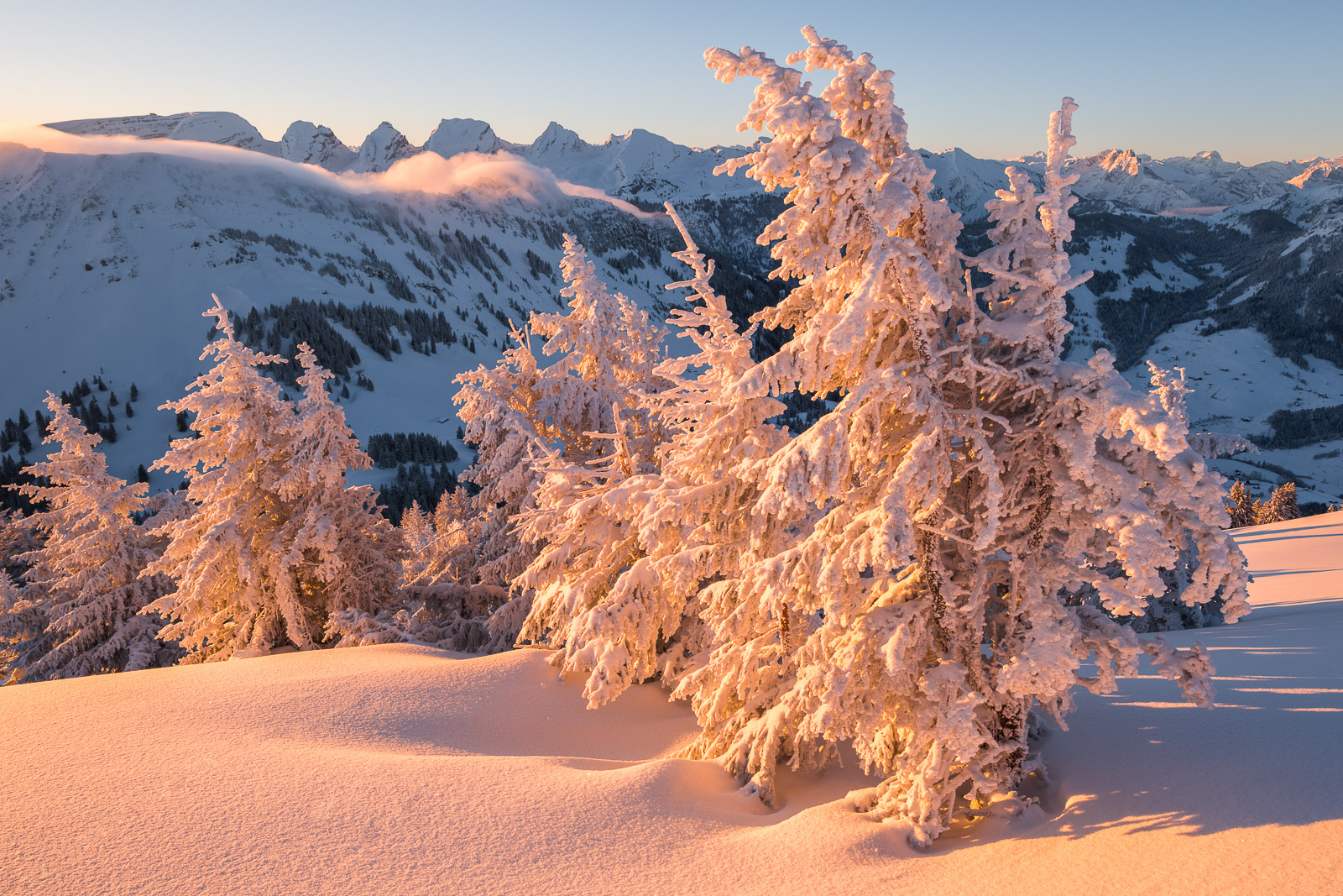  8501846 Bearbeitet web