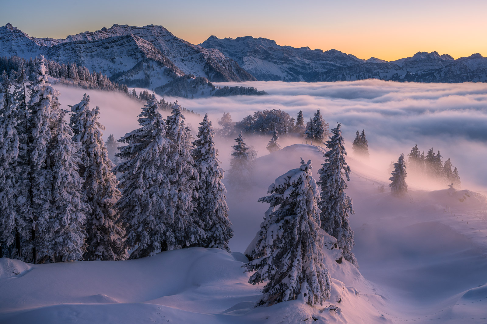  DSC0418 Bearbeitet web